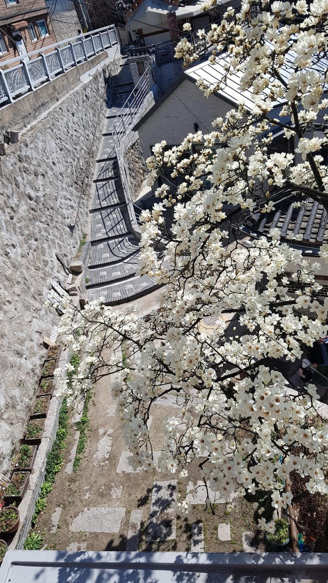 Samcheongdong Korea Guesthouse Seul Dış mekan fotoğraf